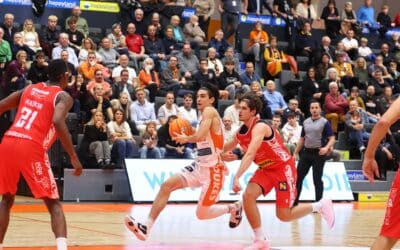VORSCHAU: NÖ-Derby – Erster Akt – Auswärts gegen die Lions